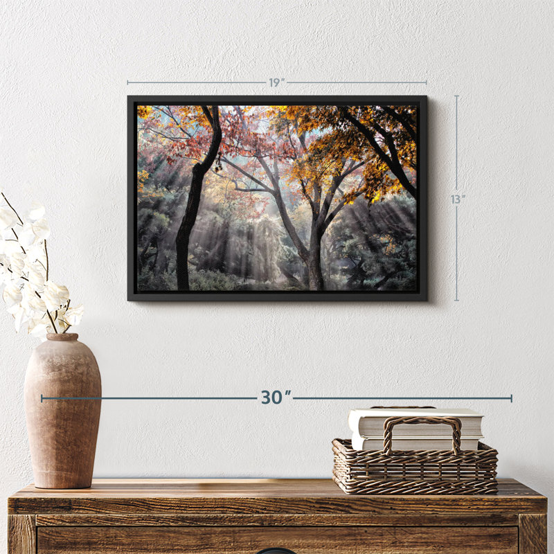 Impression sur toile Forest Sun Rays, H 19 po x l 13 po