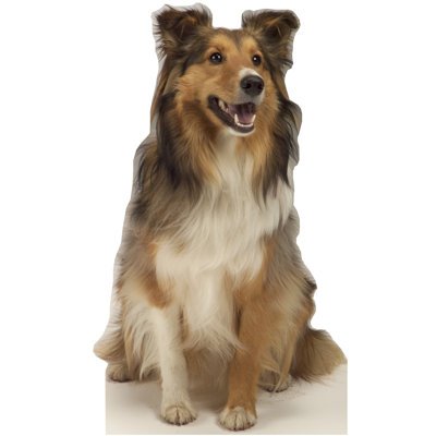 Animals Non-Wall Damaging Wall Decal