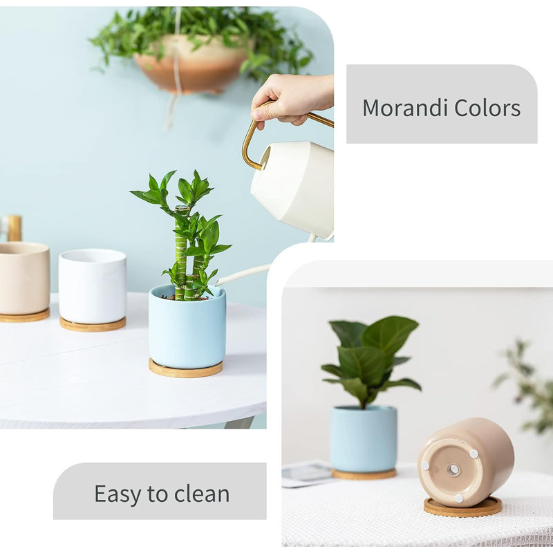 4" Ceramic Planters With Drainage & Saucers
