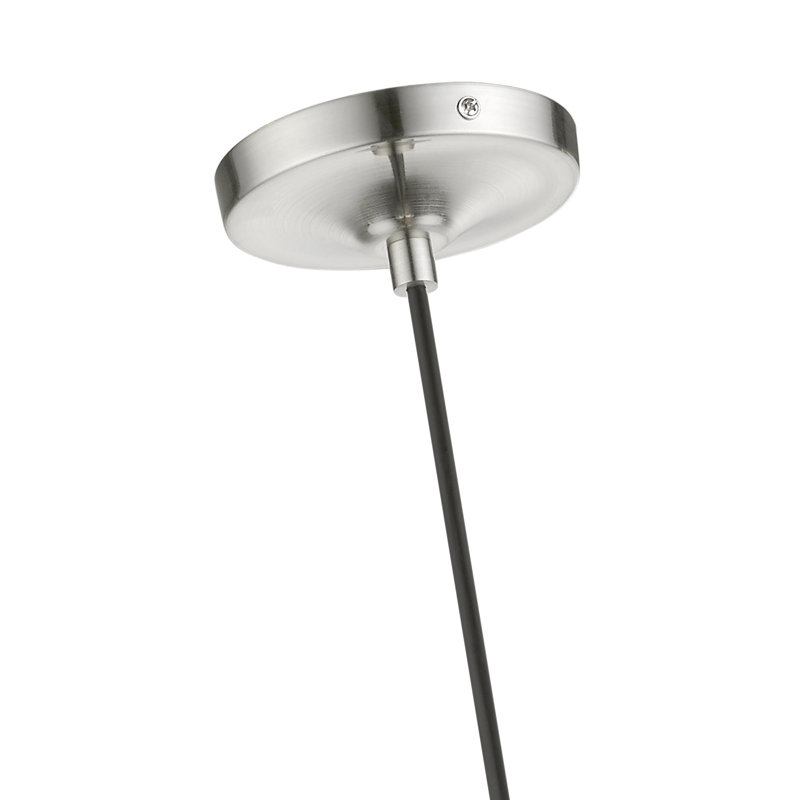 Luminaire suspendu unique et remarquable à 1 lumière Leore, Nickel brossé