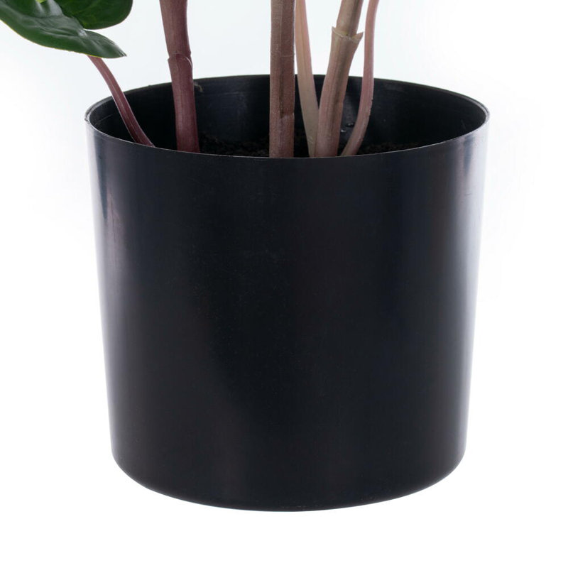 Vickerman 24 po vert Monstera en pot