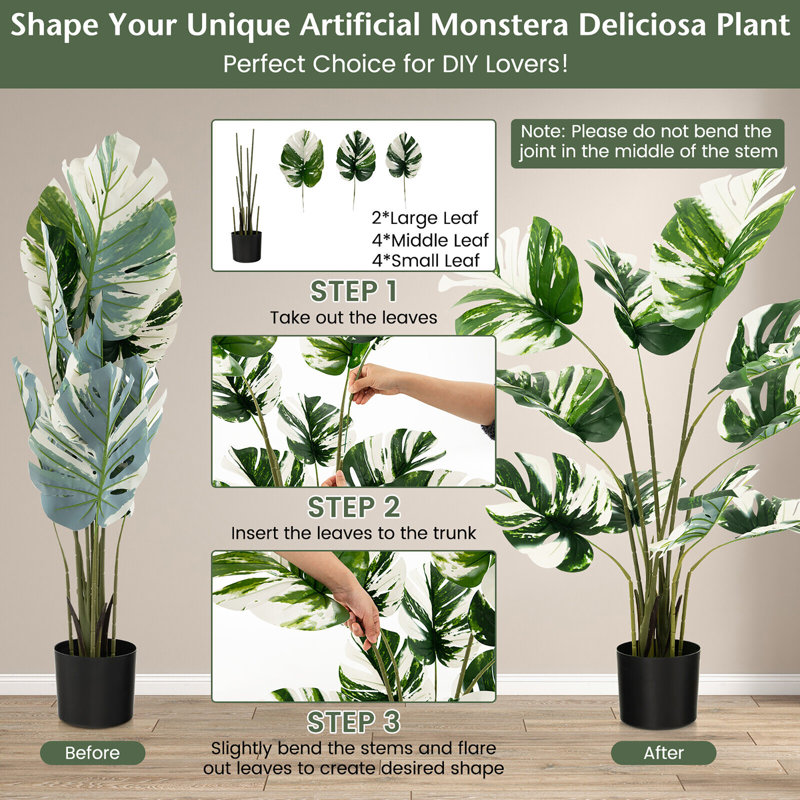 47 plantes