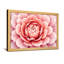 Plantes et fleurs, rose, motif floral-1475149585-1475149590-1475149594