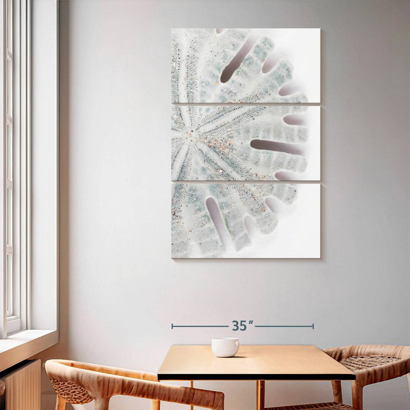 Brampt Florida Sand Dollar I, 65" H x 42" W