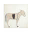 Burro Dia Painting by Paul Meyer-1960762277