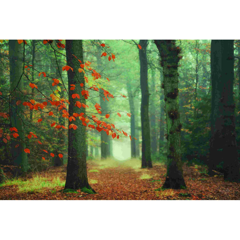 " Focus On What Your Want " by Martin Podt, 8" H x 12" W, No, Wrapped Canvas
