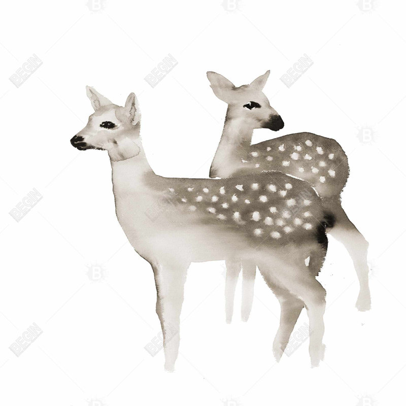 «Brown Faons»