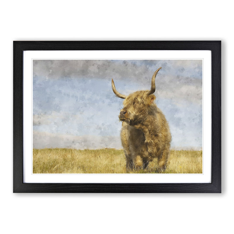 Highland Bull Cow Vol.1 - Framed Print, 36cm H x 48cm W x 2cm D, Black Framed