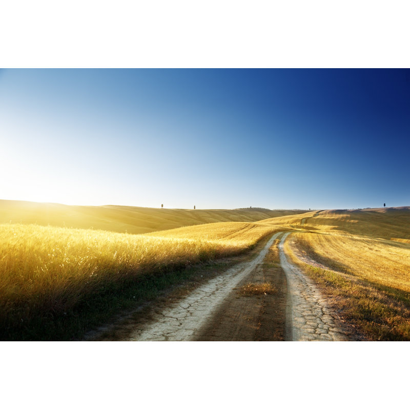 Ground Road On Field In Tuscany, Italy by IakovKalinin - Wrapped Canvas Print, 81cm H x 122cm W