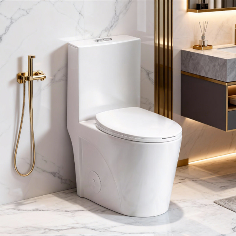 Toilette allongée une pièce à double chasse 1,1 / 1,6 GPF avec siège Comofrt ADA (siège à fermeture en douceur inclus) - option 4 couleurs