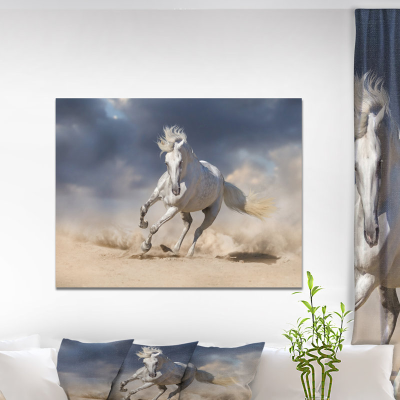Cheval blanc andalou dans la poussière du désert - impression sur toile tendue, H 30 po x l 40 po x P 1,5 po