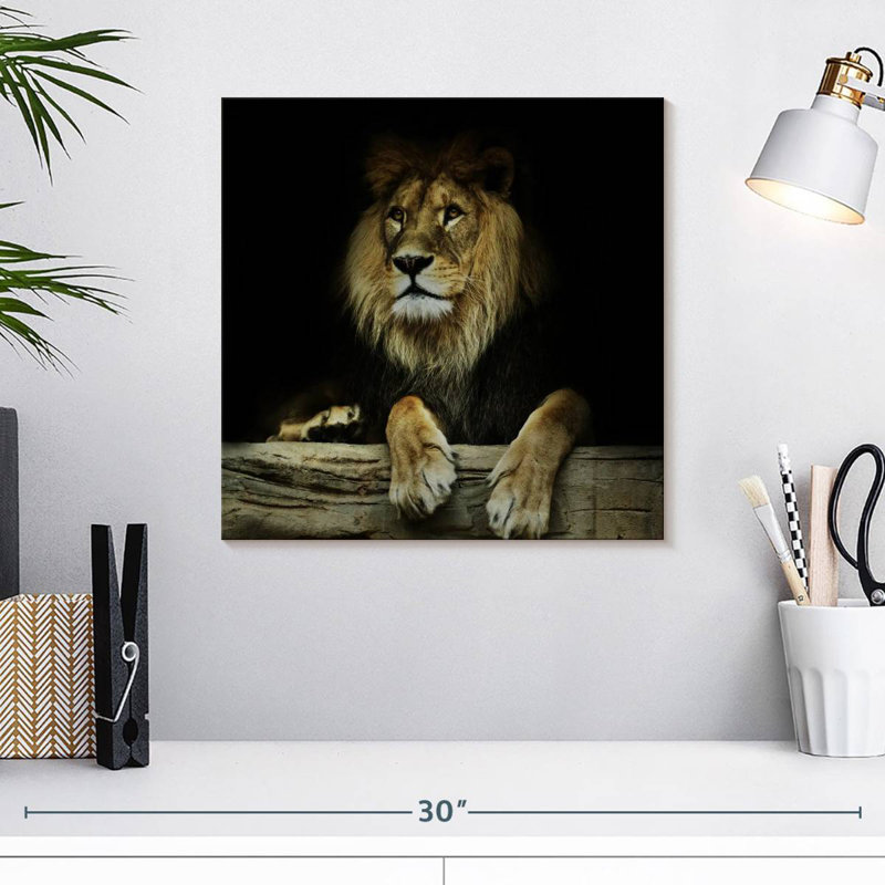 Brampt Imperious Lion, 16" H x 16" W