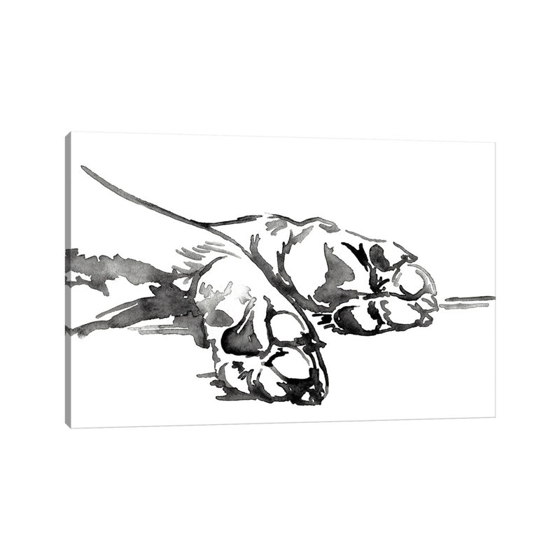 Linear Paws I - Impression sur toile tendue, H 18 po x l 26 po x P 1,5 po