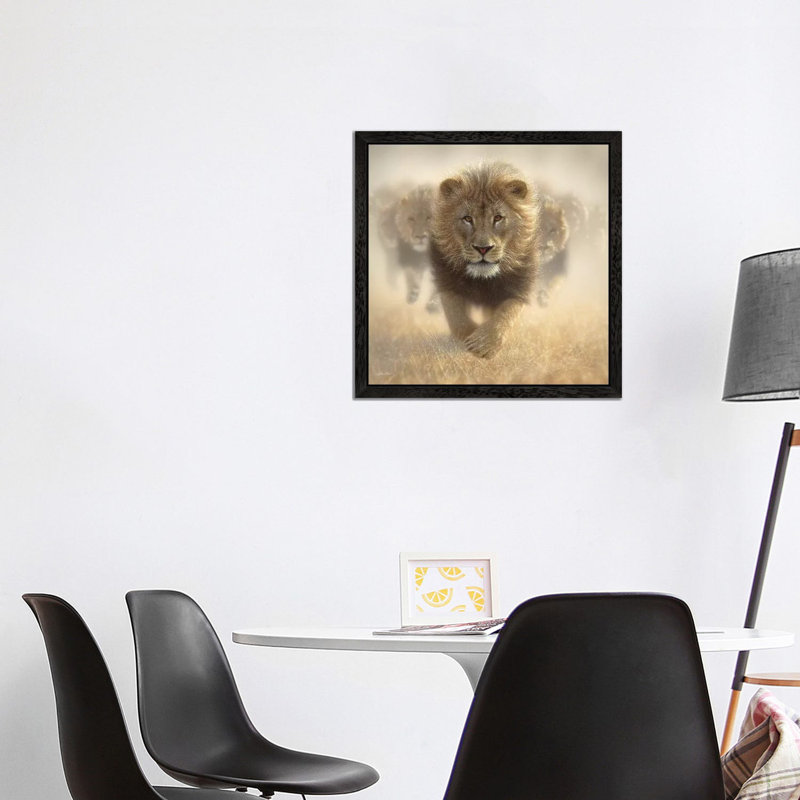 Eat My Dust - Lion, Square by Collin Bogle - Floater Frame Print on Canvas, Black, 66.04 cm H x 66.04 cm W
