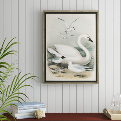 « rétro swans », reproduction d’art encadrée