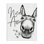 «Donkey Portrait Nice Ass Animal Pun Daisey Florals» par Lettered and Lined - impression