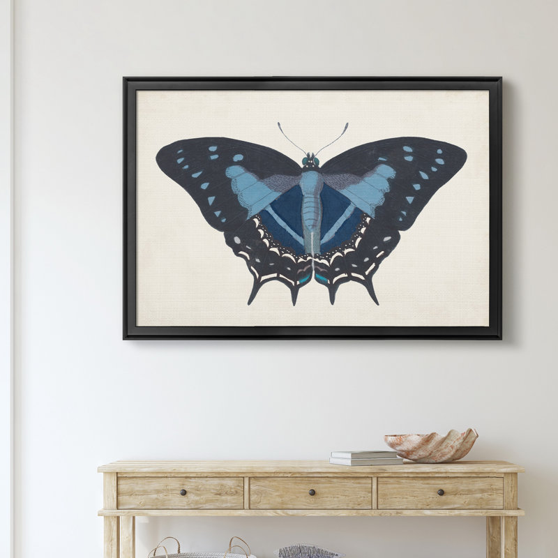 «Beautiful Butterfly III», impression sur toile encadrée, Noir, H 18,5 po x l 24,5 po x P 1,5 po