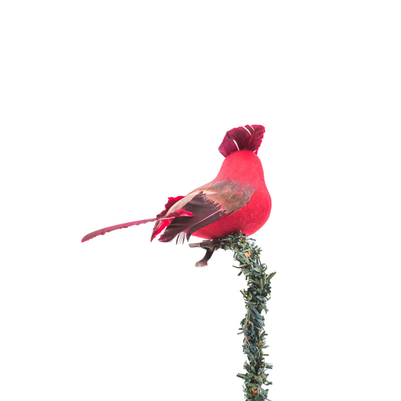 Médiator cardinal en mousse Figuroa