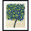 «Lemon Tree Composition II» par Timothy O 'Toole - reproduction d'art encadrée-1244168477-1244168478