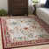 Hasrat Oriental Indoor Rug