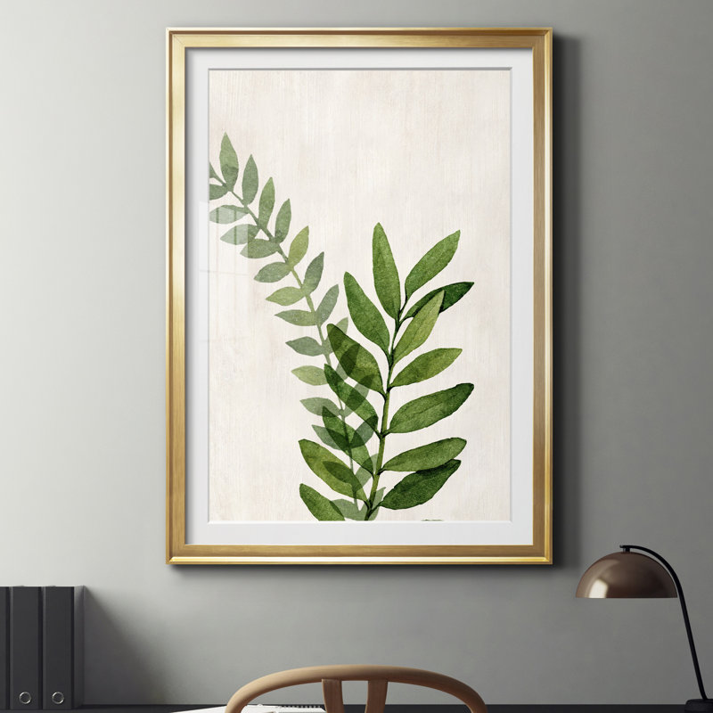Botanical Wash II - reproduction d'art sur papier, Papier encadré doré, H 18,5 po x l 24,5 po x P 1,5 po