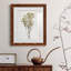 Farmhouse Pressed Flower II - peinture encadrée-1572627895-1572627894