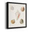 Toile encadrée Pastel Knorr Shells-350724587-350724598