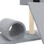 Macsen Cat Perch-522299612
