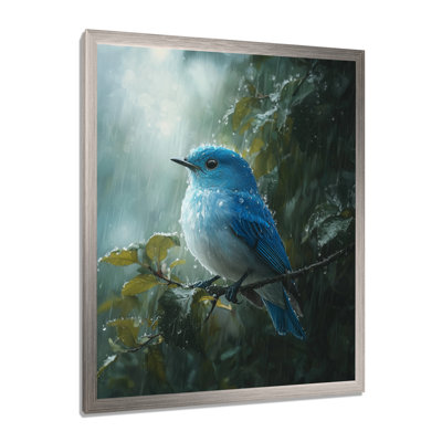 Bluebird In The Forest Rain I - Animals Canvas Art Print