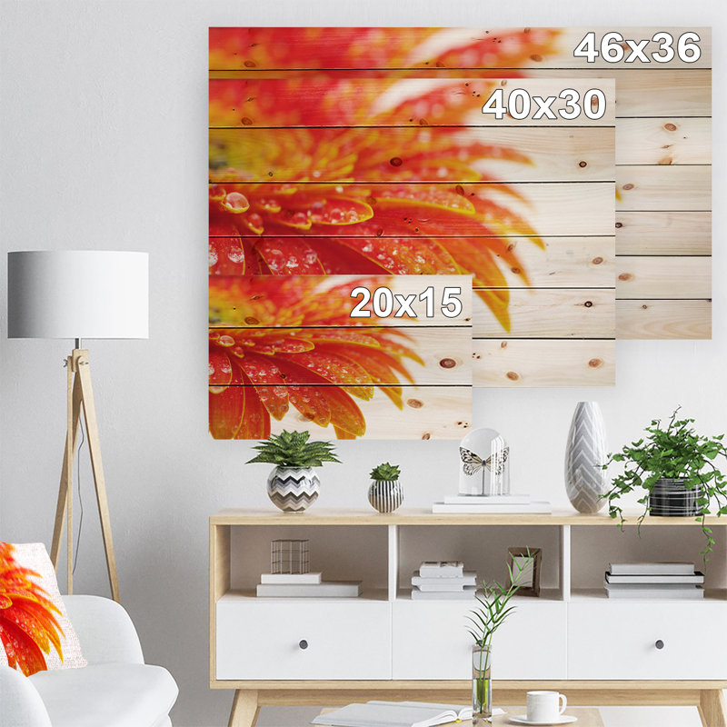 Orange Gerbera With Raindrops " Orange Gerbera With Raindrops ", 30" H x 40" W x 1" D
