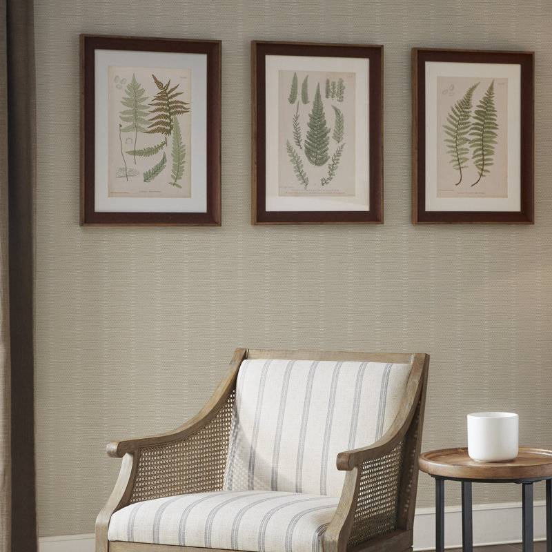 Ensemble d'art mural encadré 3 pièces Lady Fern Botanical Illustration