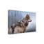 «King Of The Hill» Armstrong, impression sur toile tendue Armstrong-27649758