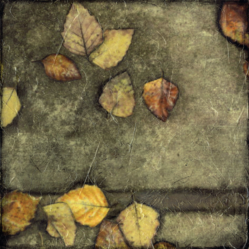 Wet Pavement II by Jennifer Goldberger - Wrapped Canvas Painting, 30cm H x 30cm W