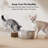 Stainless Steel Dog & Cat Water Fountain Replacement Filters, 8 count