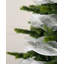 26cm Plastice No Ribbon