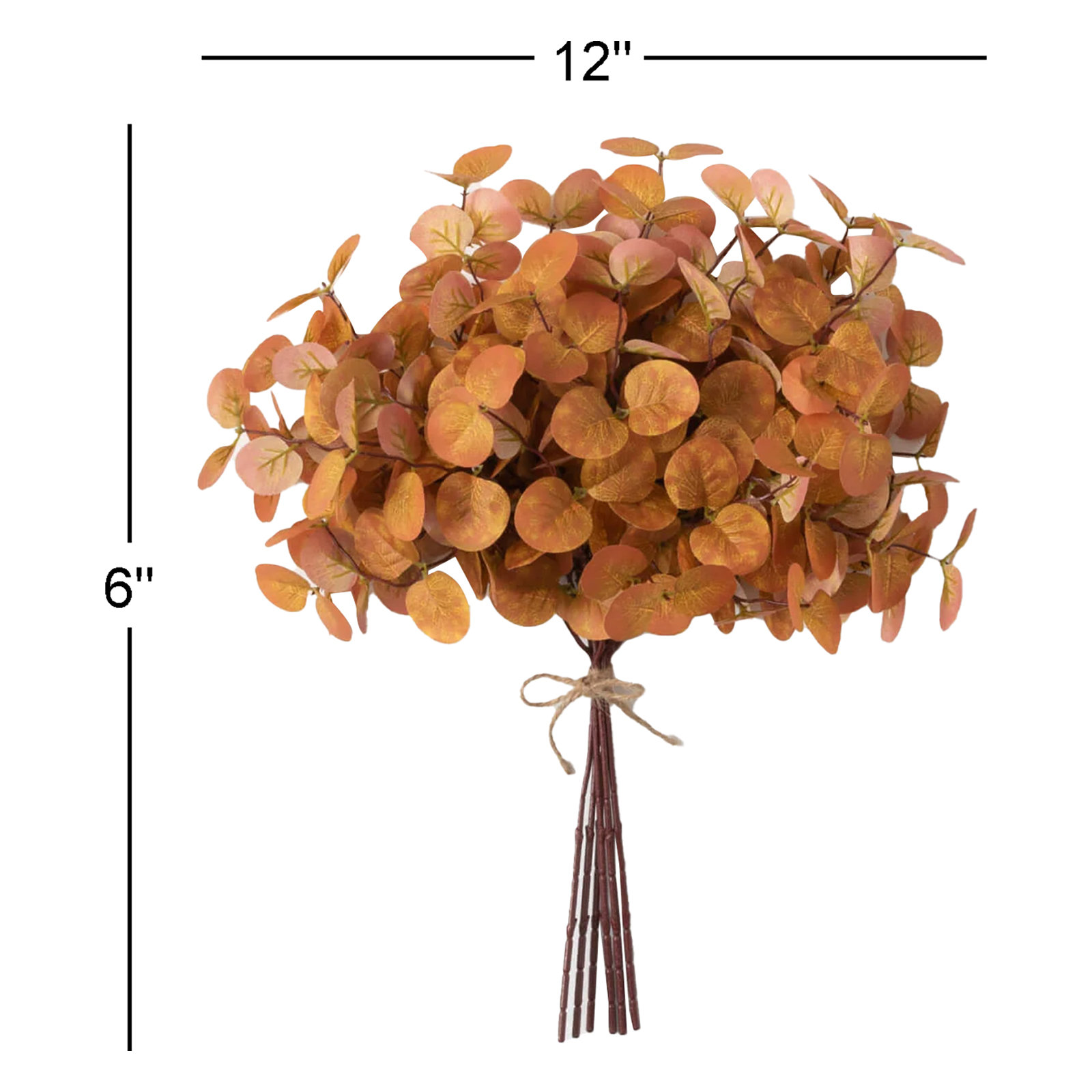 Eucalyptus Stems