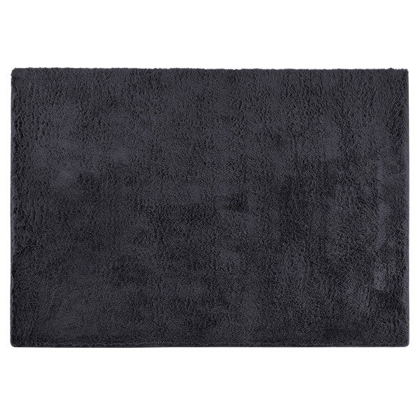 17 Stories Joyan Deep Pile Fluffy Shaggy Area Rug for Indoor/Outdoor ...