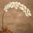 Phalaenopsis Orchid Artificial Flower Set of 2
