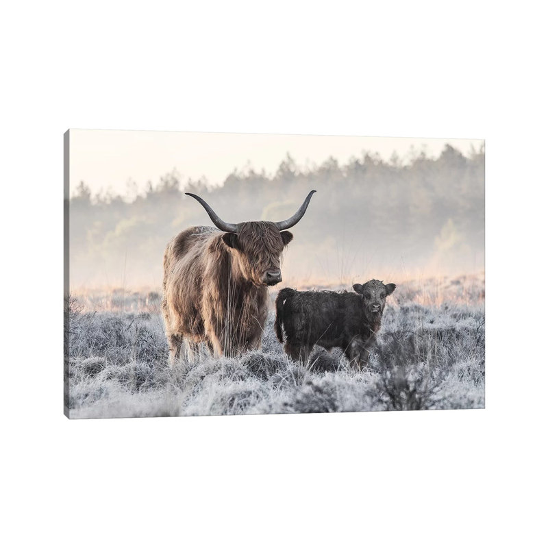 Highlander And Calf by Jaap Van Den - Wrapped Canvas Print, 20.32 cm H x 30.48 cm W
