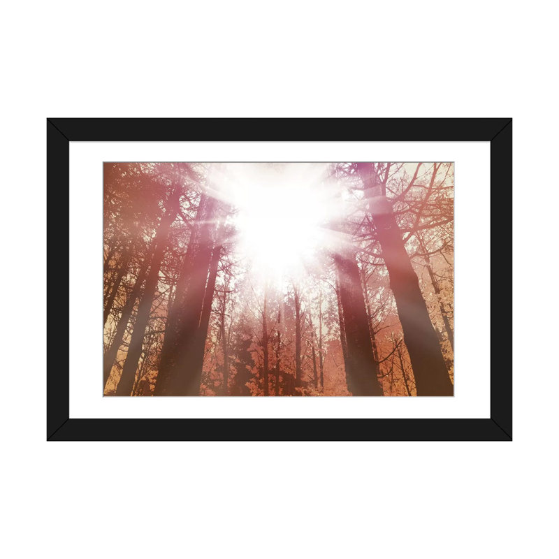 «Sun Dance», reproduction d'impression sur toile, H 16 po x l 24 po x P 1 po, Papier d'art encadré noir, Blanc