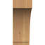 Attelle impériale du genou-31229254-29309856-31229277