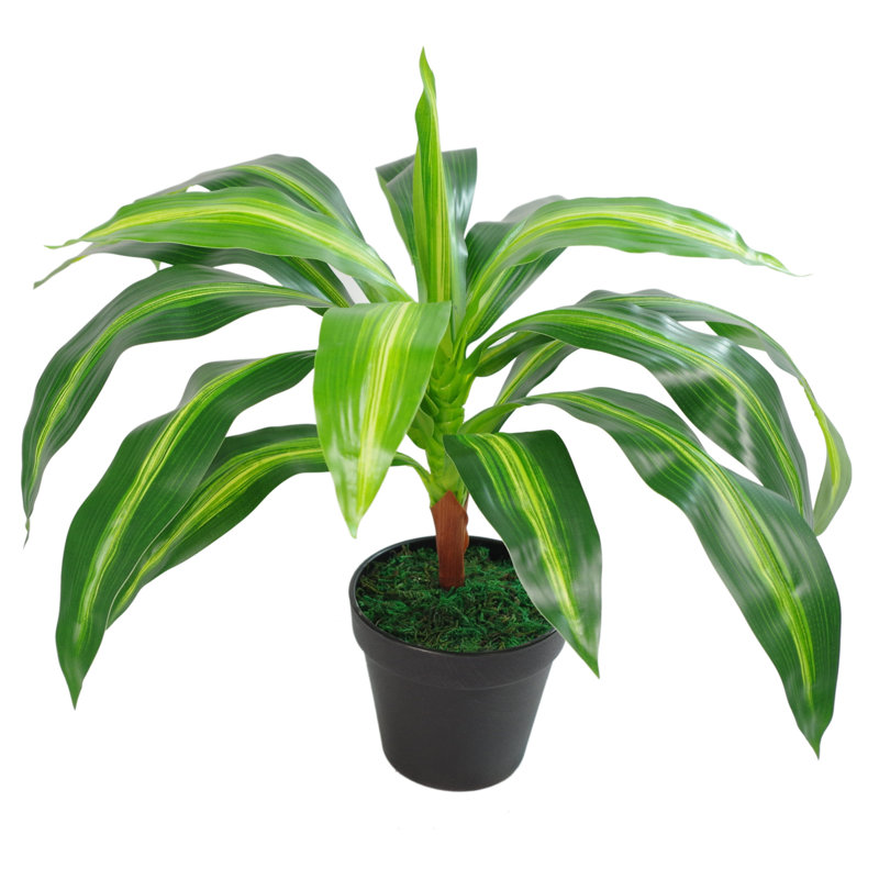 Anjeli 40cm Faux Foliage Plant in Pot