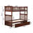 Blaisdell Solid Wood Standard Ladder Bunk Bed with Roll Out Trundle-1709596748-1709629289