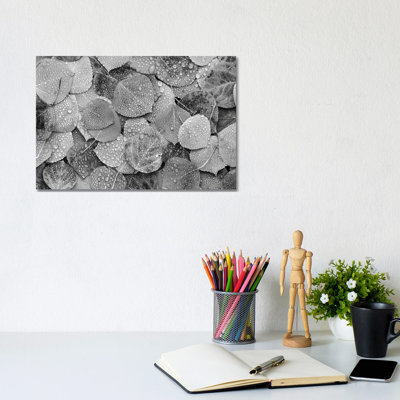 Fallen Autumn Aspen Leaves Covered In Dew Droplets, Colorado - Wrapped Canvas Print