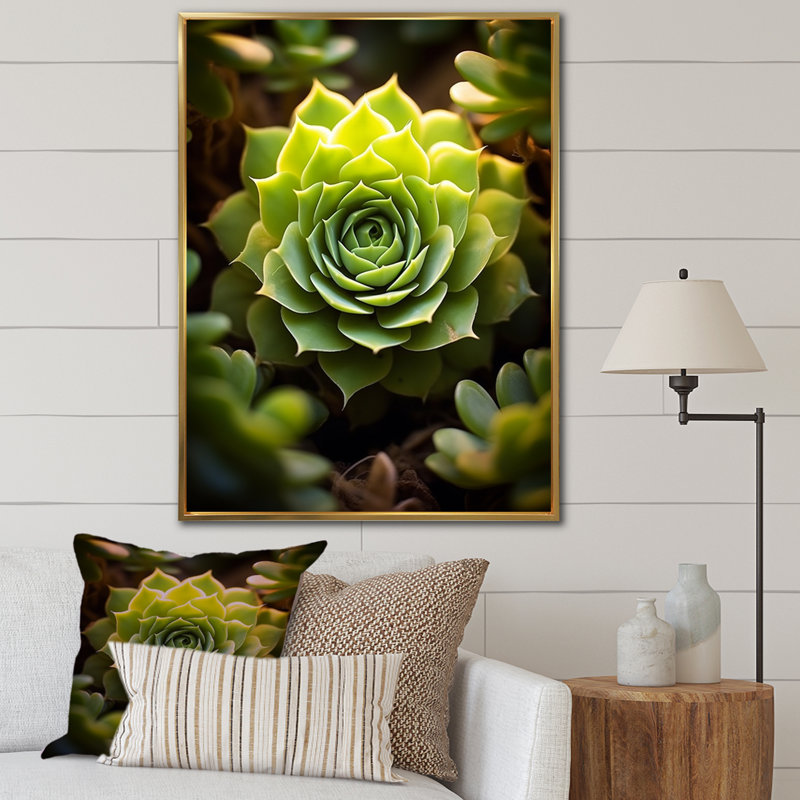 " Green Succulent Bloom ", 32" H x 24" W, Gold Floater Framed