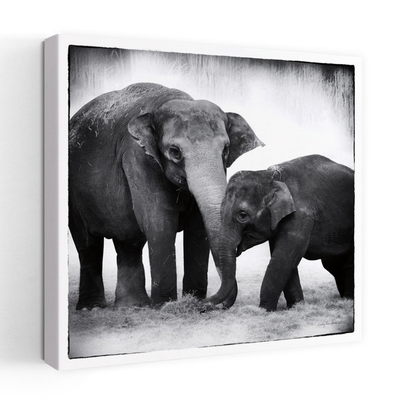 Art contemporain éléphant III avec animaux d'Afrique, H 48 po x l 48 po