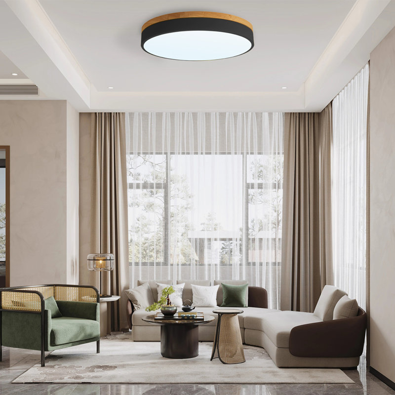 Elbonie LED Flush Mount