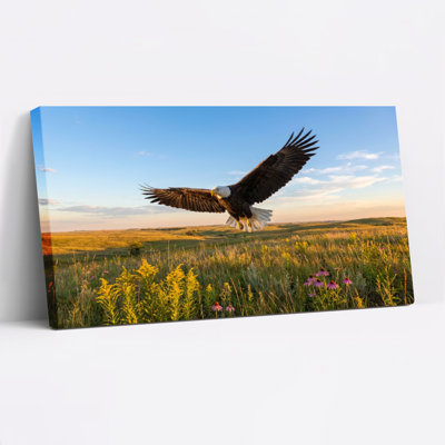 Bald Eagle Flying Over Field Canvas Wrapped Wall Art Oil Painting Print Set Of 1