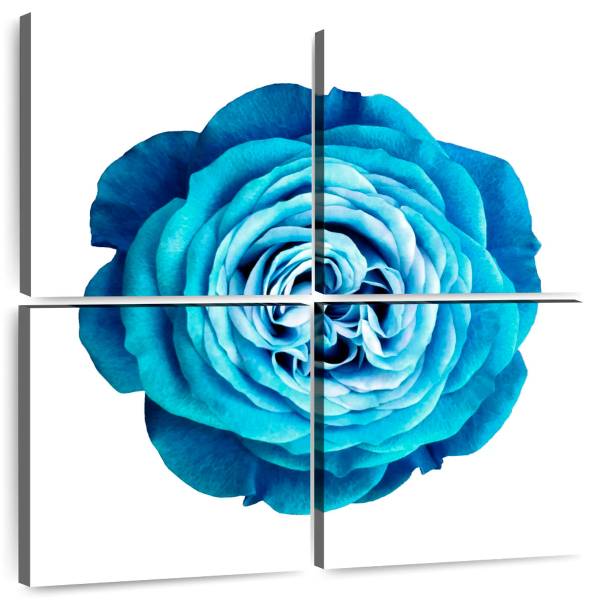 Lark Manor™ Harnek Gradient Blue Rose | Wayfair