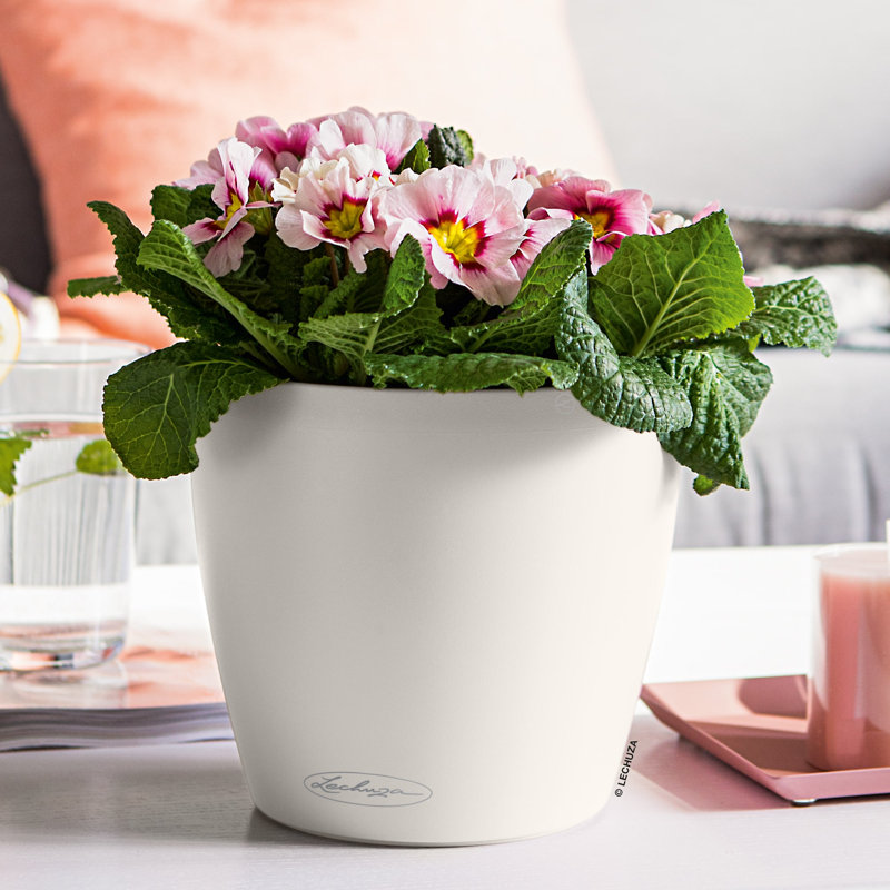 Pot à fleurs rond en plastique Classico Color 21 avec indicateur de niveau d'eau pour l'intérieur et l'extérieur, blanc